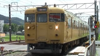 【山陽本線】JR西日本　地域色115系電車　オカD-25編成