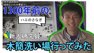 都城発掘調査部　平城地区の仕事紹介　新人研究員垣中健志の史料研究室お仕事探訪＃1　木簡洗浄作業