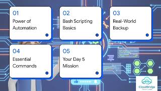 Mastering Bash Scripting for Beginners | DevOps Linux Automation