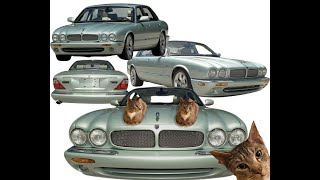 Royal Highness Cat escorted from the luxuries of an XJR Jaguar