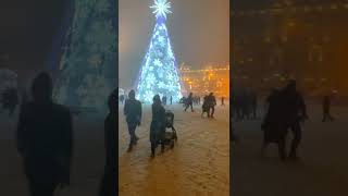 THE BIGGEST CHRISTMAS TREE EVER | 2021 | EUROPE | LITHUANIA | BALTIC REGION | TALLEST | X MAS TREE