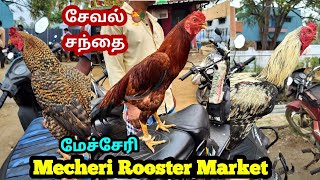 சேவல் 🐓 சந்தை|மேச்சேரி|Mecheri Rooster Market@Modernpannai