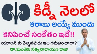 Kidneys నెలలో కరాబు అయ్యే ముందు కనిపించే సంకేతం ఇదే!! | Dr Manthena Satyanarayana Raju Videos