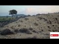 hunting in cyprus 🇨🇾 Κυνήγι Πέρδικα και λαγού με shotkam 2023 24