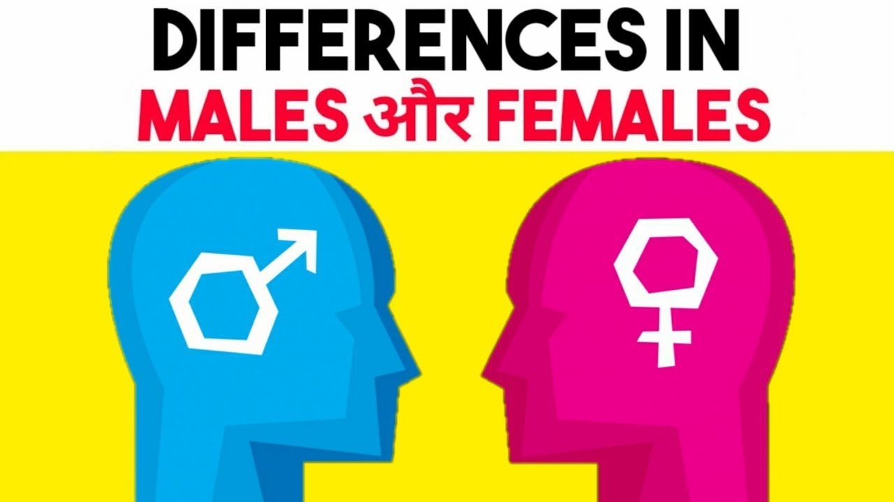 MALE VS FEMALE PSYCHOLOGY | Differences In Personality And Behavior ...