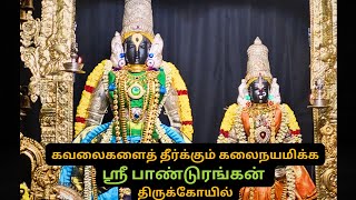 SRI PANDURANGAN TEMPLE #thennangur #panduranga #vital #vittal #vittala #perumal