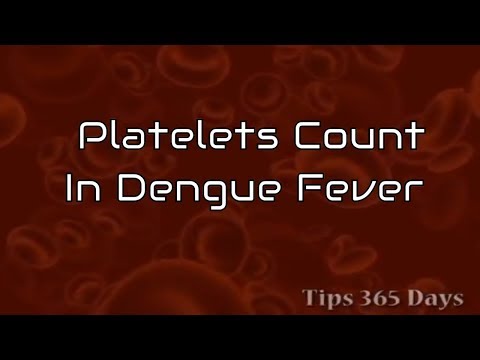 Platelets Count in Dengue Fever|What Is Dengue And How It's Caused|Importance Of Platelets in Dengue Platelets Count in Dengue Fever|What Is Dengue And How It's Caused|Importance Of Platelets in Dengue