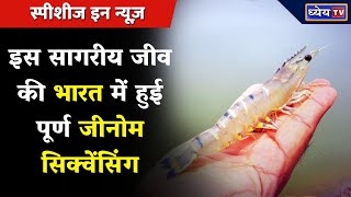 इस सागरीय जीव की भारत में हुई पूर्ण Genome Sequencing | Indian White Shrimp | Sea Creature in India