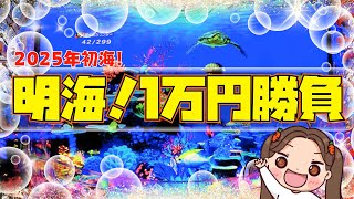 １万円勝負！明海！初打ち！大荒れの海物語に全力で突っ込む！席を立ち上がろうとした瞬間！台が騒ぐ！【PA大海物語5 withアグネス・ラム】[大海5]『あげ実887海物語』[海物語]#パーラーあげ実