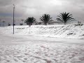 hailstorm in bogota colombia white streets in a tropical climate city palm trees in hail