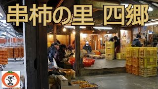 ** 柿 の 皮むき 串柿 つくり 四郷 富永農園 ” 和歌山県 伊都郡 かつらぎ町 【 うろうろ和歌山 】