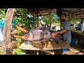 Fantastic !! Big Catla Fish Cutting By Village Boy | Excellent Fish Cutting Skills In Sri Lanka