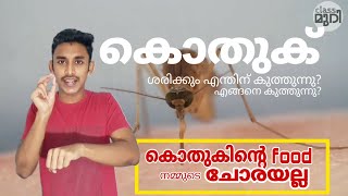 കൊതുക്: വീട്ടിലെ S𝖊𝖗𝖎𝖆𝖑 𝖐𝖎𝖑𝖑𝖊𝖗. കുത്തുന്നത് എന്തിന് എങ്ങനെ? Mosquito Malayalam. Classmuri