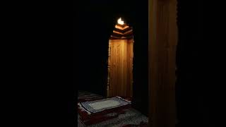🥰মনে করেন আপনি কাউকে ভালোবেসেছেন তার হাসি দেখে ✨ Islamic status What'sapp Status🤲 Short video 🌼