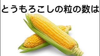 【9割は知らない】誰かに話したくなる面白い雑学5選