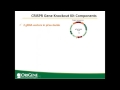 webinar gene knockout with crispr