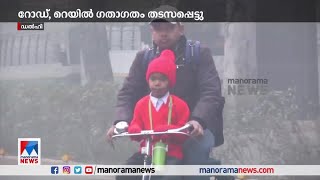 തണുപ്പില്‍ വിറച്ച് ഉത്തരേന്ത്യന്‍ സംസ്ഥാനങ്ങള്‍; റോഡ്–റെയില്‍ ഗതാഗതം തടസപ്പെട്ടു| Delhi climate