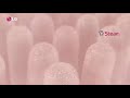 lg washing machine with aidd technology for better fabric protection