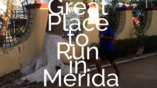 Mitch at Midlife - Great Place to Run in Merida