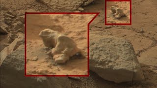 Searching for alien life in Mars photos