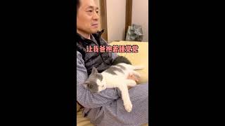 小猫咪有多双标