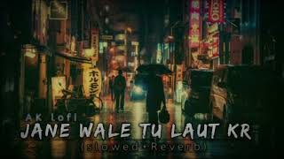 Jane wale laut kr (Slowed+Reverb) B Praak & Payal Dev |AK lofi