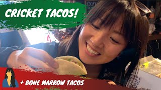 WOULD YOU EAT CRICKET AND BONE MARROW TACOS?