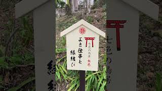 栃木県 足利織姫神社  七色の鳥居（縁結び坂） #神社  #織姫神社 #栃木県 #縁結び（良き人生と良き仕事と縁結び）