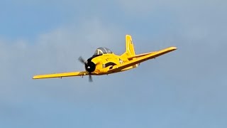 E-Flite Carbon Z T-28