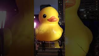 『Rubber Duck Project 2021 in Osaka/Japan』大阪の福島ほたるまち港にラバーダックが登場！①--2021/12/24