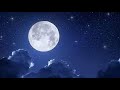 Like The Stars - Parshat Bamidbar