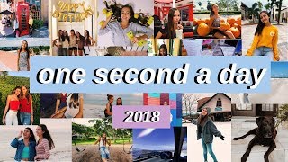 1 Second A Day For A Year: 2018