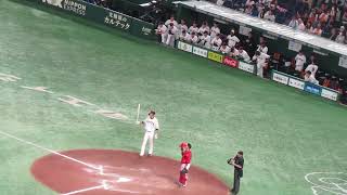 秋広優人 粘ってタイムリーで巨人ベンチ大喜び〜2023年5月13日読売ジャイアンツ対 広島カープ