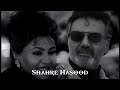 moein u0026 hayedeh shahre hasood new music 2025 ali zendevakili hayedeh moein