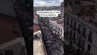 Algeria Protests For Palestine | MUSLIM