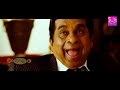 Brahmanandam Comedy Scenes Back to Back | Vol 2 | Non Stop Telugu Tamil Dubbed Movie Full Comedy |