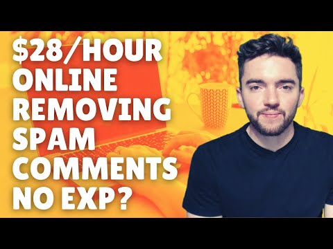 Spend 28 hours online to remove spam comments No experience or phone required 2023