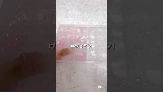 비즈키링 구매 원하시는 분은 번장-Zeal0, 옾쳇-밀콩 // 이 계정 잃어버렸는데 바로 찾았어요..😭😭// #알고리즘아부탁해 #알고리즘 #추천떠라 #비즈공예 #비즈키링