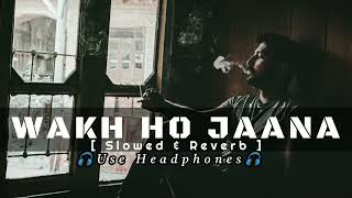 Wakh Ho Jaana | Slowed & Reverb | Gurnam Bhullar | Sonam Bajwa | New Punjabi Lofi Song | R&B Bass |