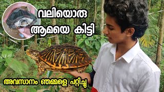 വലിയൊരു ആമയെ കിട്ടി | അവസാനം പറ്റിച്ചു 😜 | #TURTLE_MALAYALAM_VIDEO #EXOTIC_TURTLE |