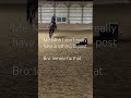 american eagle screech horse horseaddict equestrian