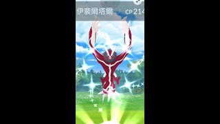 色違伊裴爾塔爾 イベルタル Shiny Yveltal！Pokemon GO