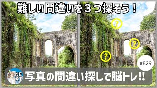 『間違い探し』写真で脳トレ！ #829 「沈堕発電所跡」「花のしおり」「不気味な山道」【高難易度】｜Find the difference game in photos