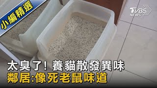 太臭了! 養貓散發異味 鄰居:像死老鼠味道｜TVBS新聞 @TVBSNEWS02