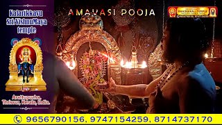 രുദ്രേ സദാ ശിവേ ജയേ....#pooja #astrology #devotionalsongs #mashinottam