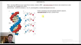 Лекція №4.  Особливості будови генів  Модифікаційна, мутаційна, комбінативна мінливості