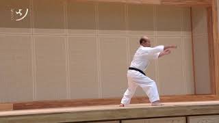 Uechi ryu Sanseiryu kata. Nakahodo sensei.  上地流   三十六 型  中程力先生