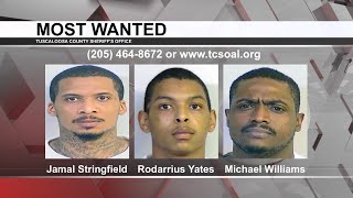 Tuscaloosa's Most Wanted: Oct. 14, 2020