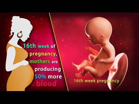 16 Weeks Pregnant: What's Happening in 16th Week of Pregnancy? 16 Weeks Pregnant: What's Happening in 16th Week of Pregnancy?