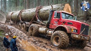 Transporting Wood This Way - Extremely Dangerous Large Chainsaw Fastest | Agriculture Technology #2